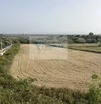 Foto annuncio 21