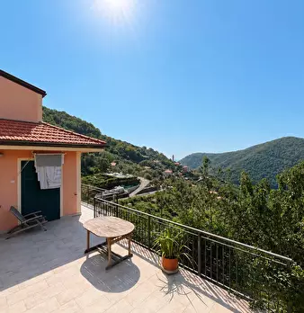 Foto annuncio 5