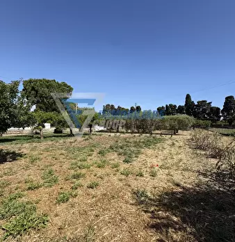 Foto annuncio 23