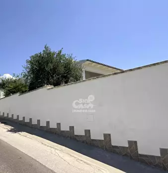 Foto annuncio 49