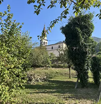 Foto annuncio 8