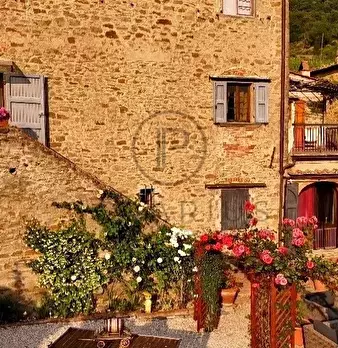 Foto annuncio 17