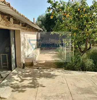 Foto annuncio 1