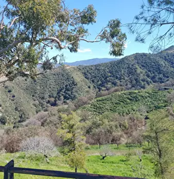 Foto annuncio 26