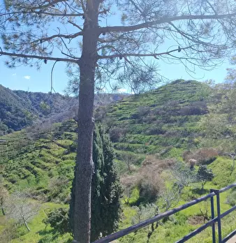 Foto annuncio 25