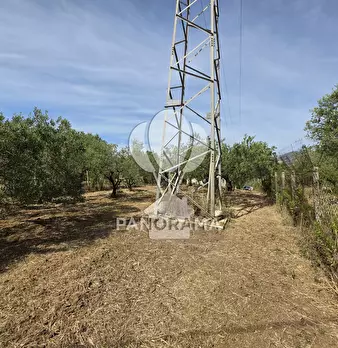 Foto annuncio 3