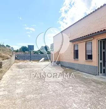 Foto annuncio 19