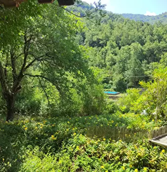 Foto annuncio 26