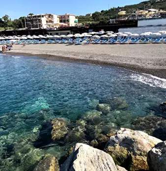 Foto annuncio 7