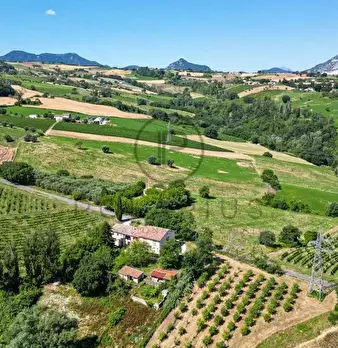 Foto annuncio 1