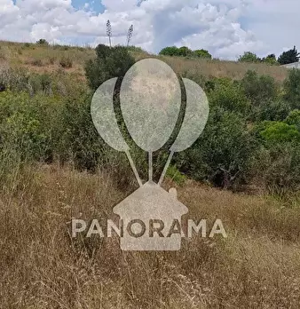 Foto annuncio 12