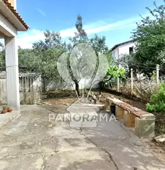 Foto annuncio 10