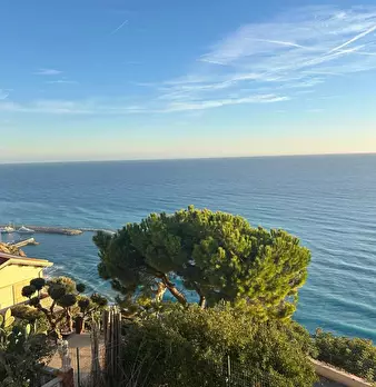 Foto annuncio 12