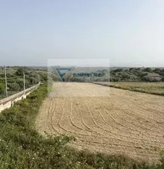 Foto annuncio 18