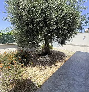 Foto annuncio 40