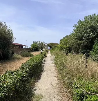 Foto annuncio 6