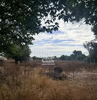 Foto annuncio 3