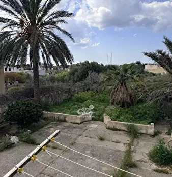 Foto annuncio 14