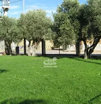 Foto annuncio 5