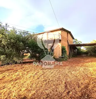 Foto annuncio 14