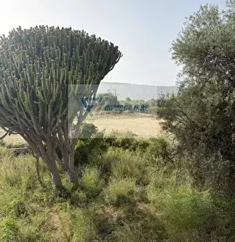 Foto annuncio 23