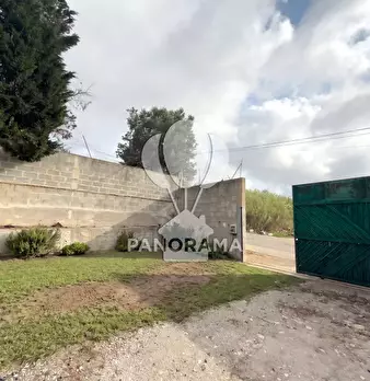 Foto annuncio 1