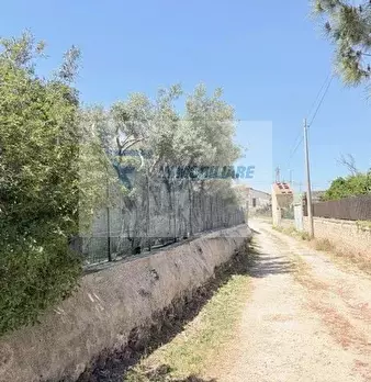 Foto annuncio 12