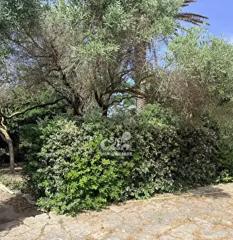 Foto annuncio 34