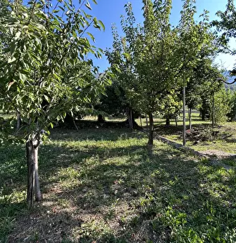 Foto annuncio 51