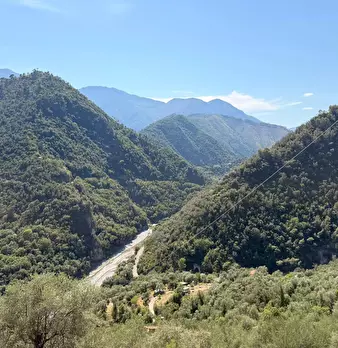 Foto annuncio 13