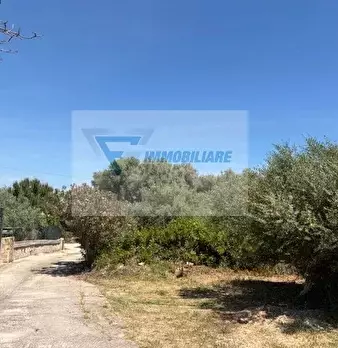 Foto annuncio 1