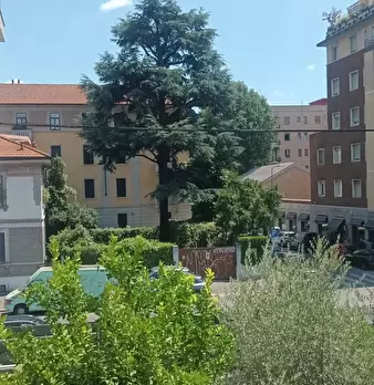 Foto annuncio 13