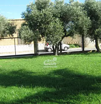 Foto annuncio 65