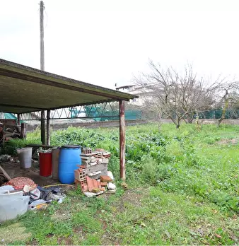 Foto annuncio 10