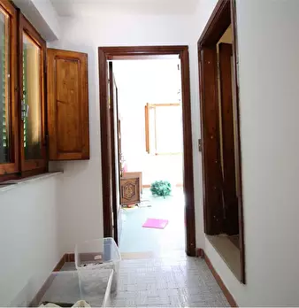 Foto annuncio 19