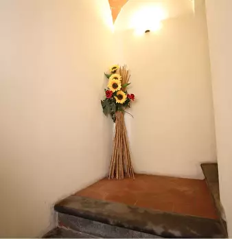 Foto annuncio 24