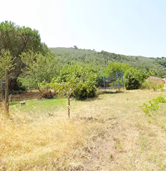 Foto annuncio 9