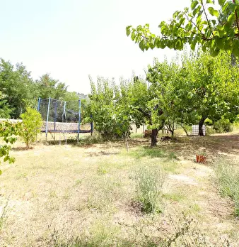Foto annuncio 11