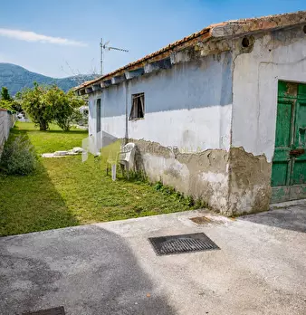 Foto annuncio 11