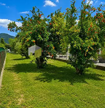 Foto annuncio 23