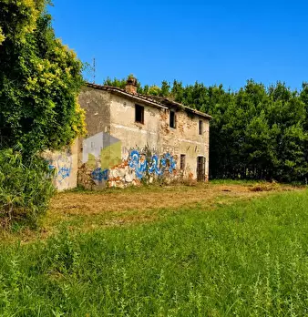 Foto annuncio 2