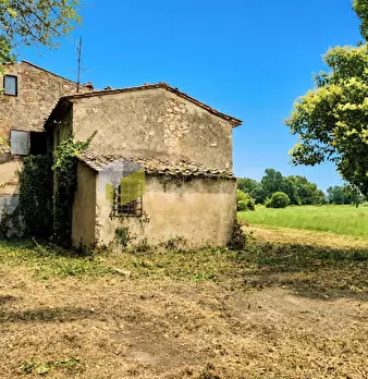 Foto annuncio 3