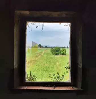 Foto annuncio 23