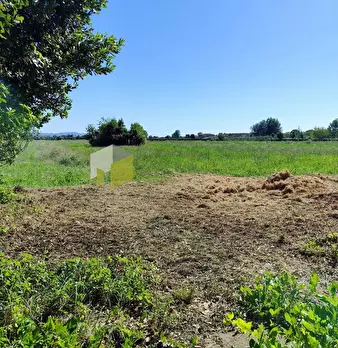 Foto annuncio 31