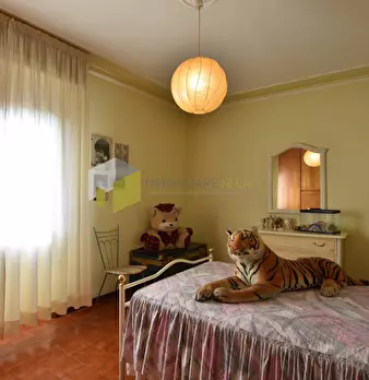 Foto annuncio 37