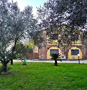 Foto annuncio 19