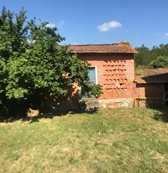 Foto annuncio 8
