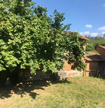 Foto annuncio 9