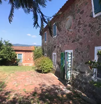 Foto annuncio 6
