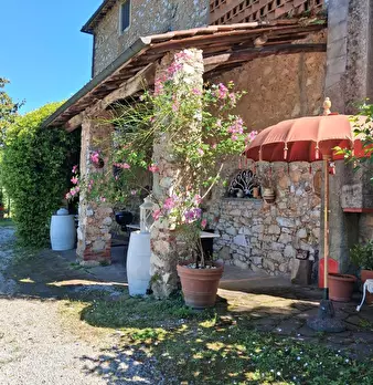 Foto annuncio 28